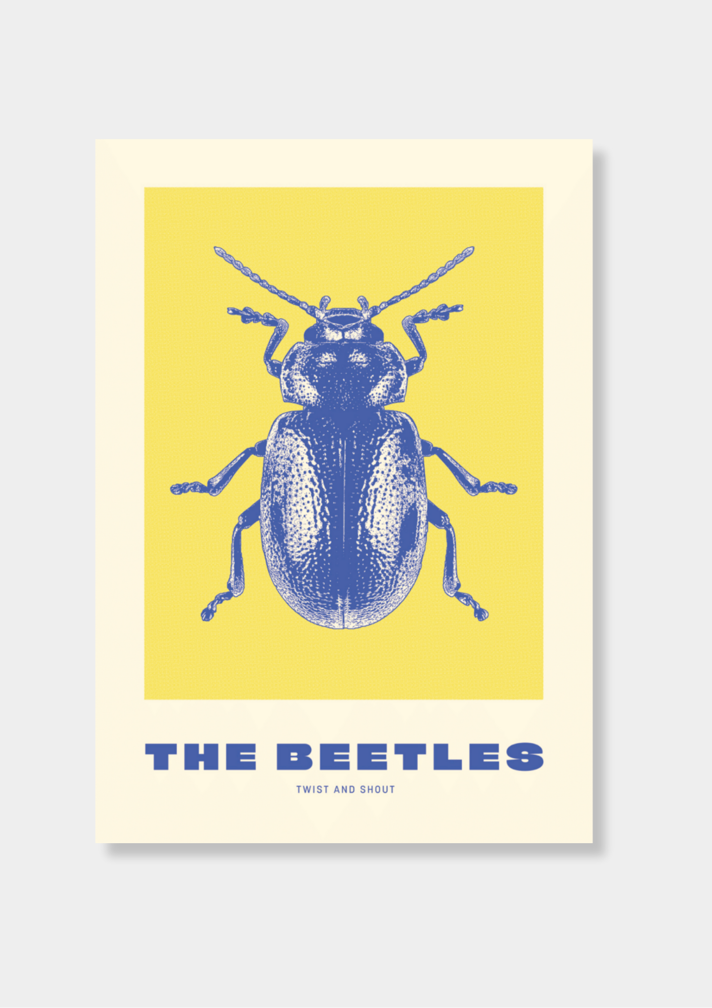 Claire Marie O'Donnell - The Beetles