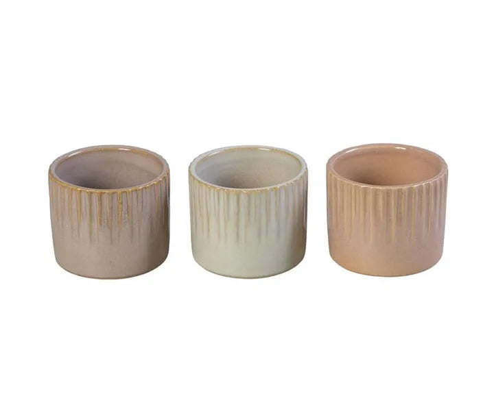 Small Pot