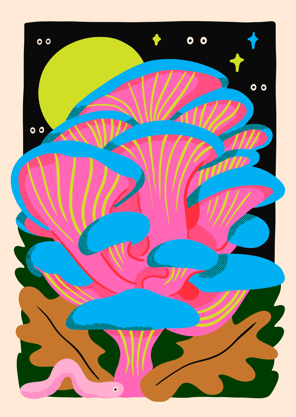 Cathy Hogan - Dreamshroom