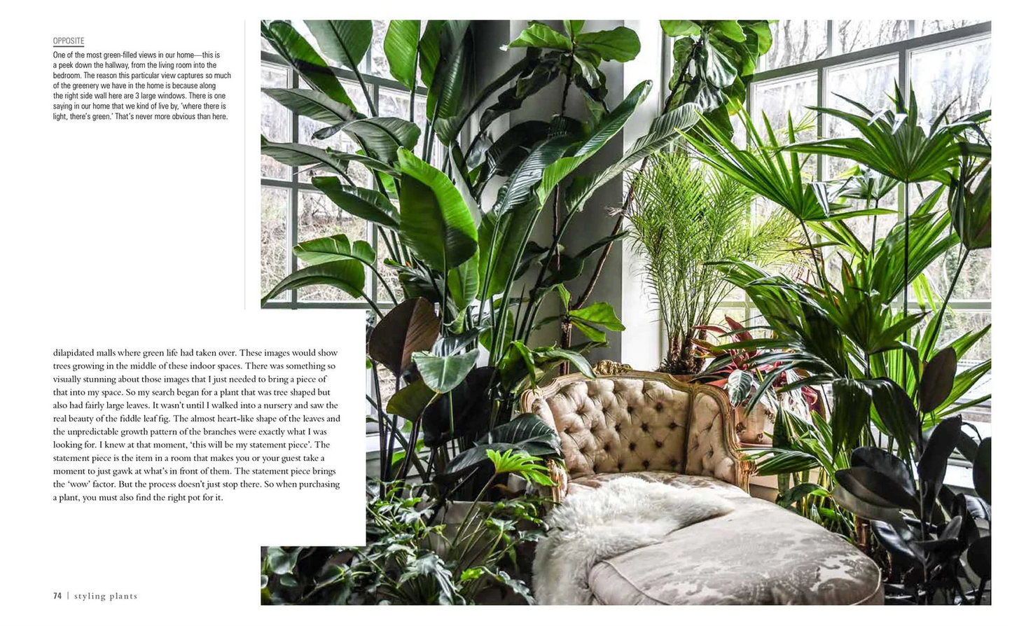 Wild at Home : How to Style and Care for Beautiful Plants - Book