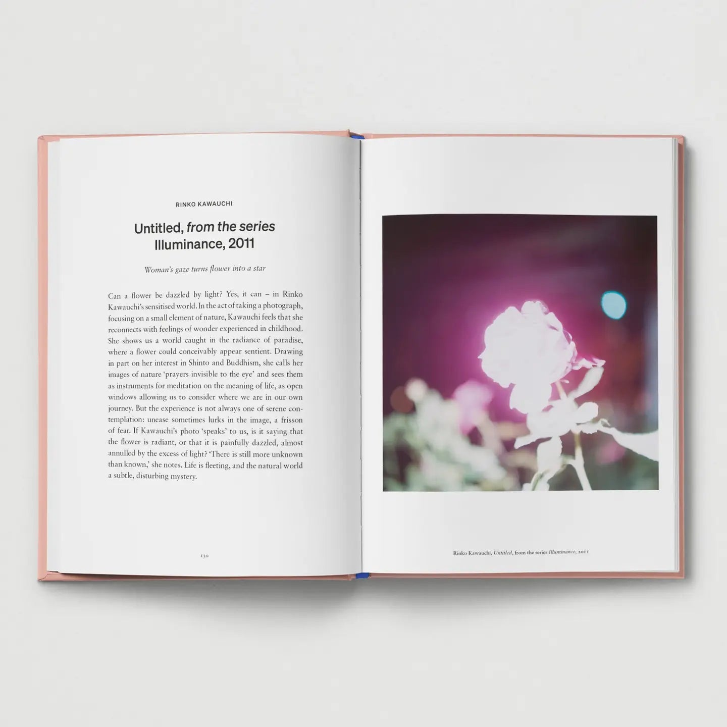 An Opinionated Guide To Photography