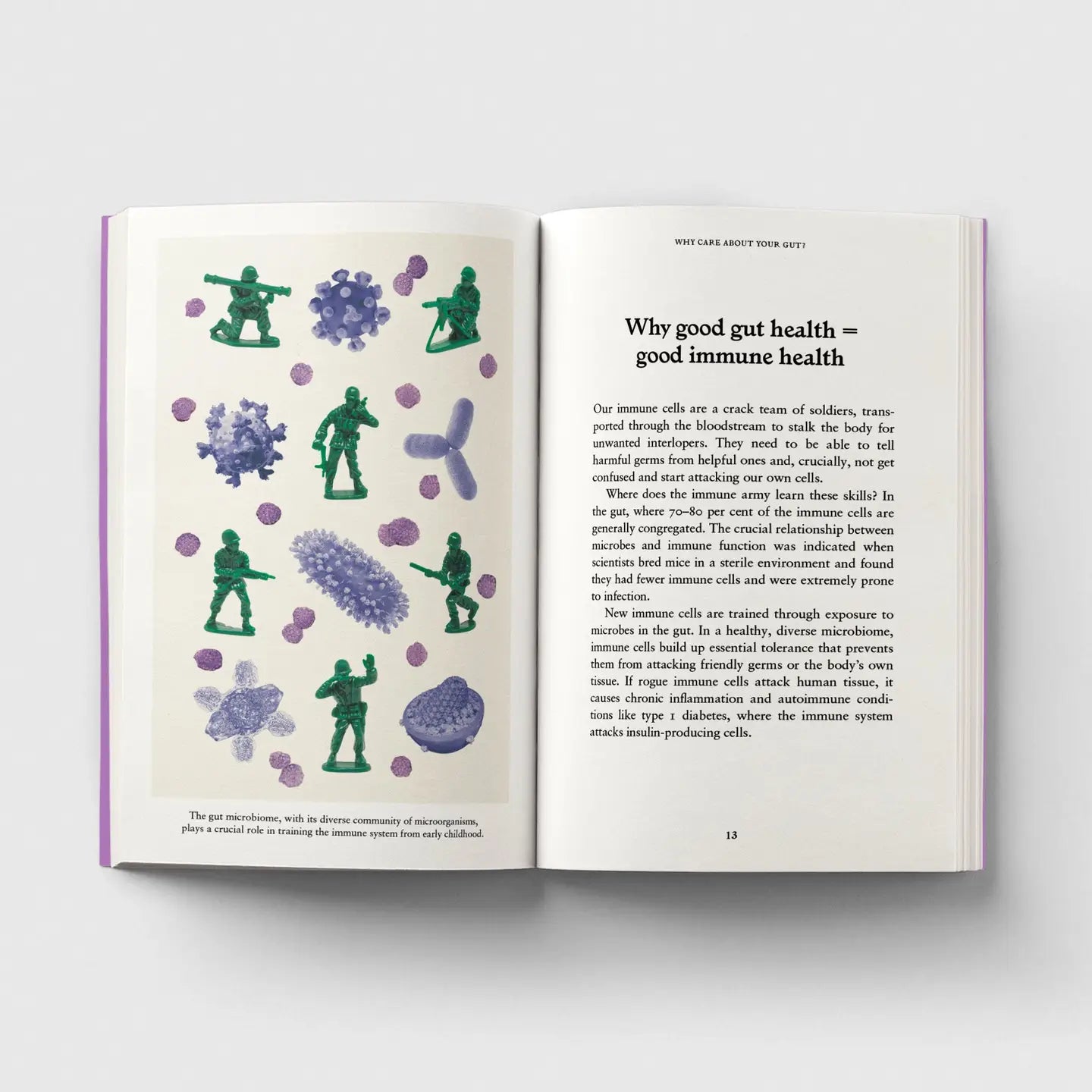 The Gut, A Pocket Primer