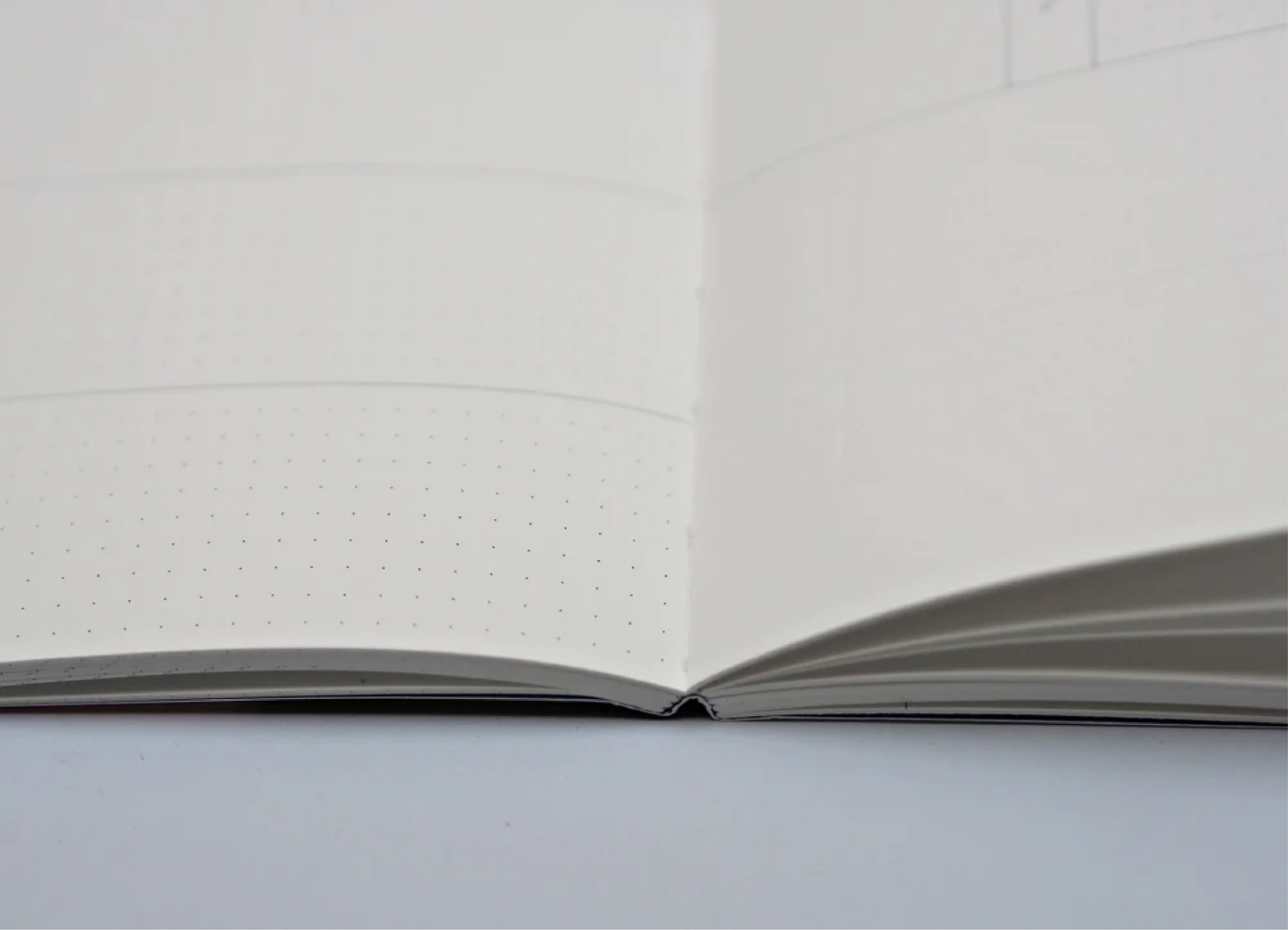 Completist: Undated Weekly Planner Brush Check No.2 Pocket