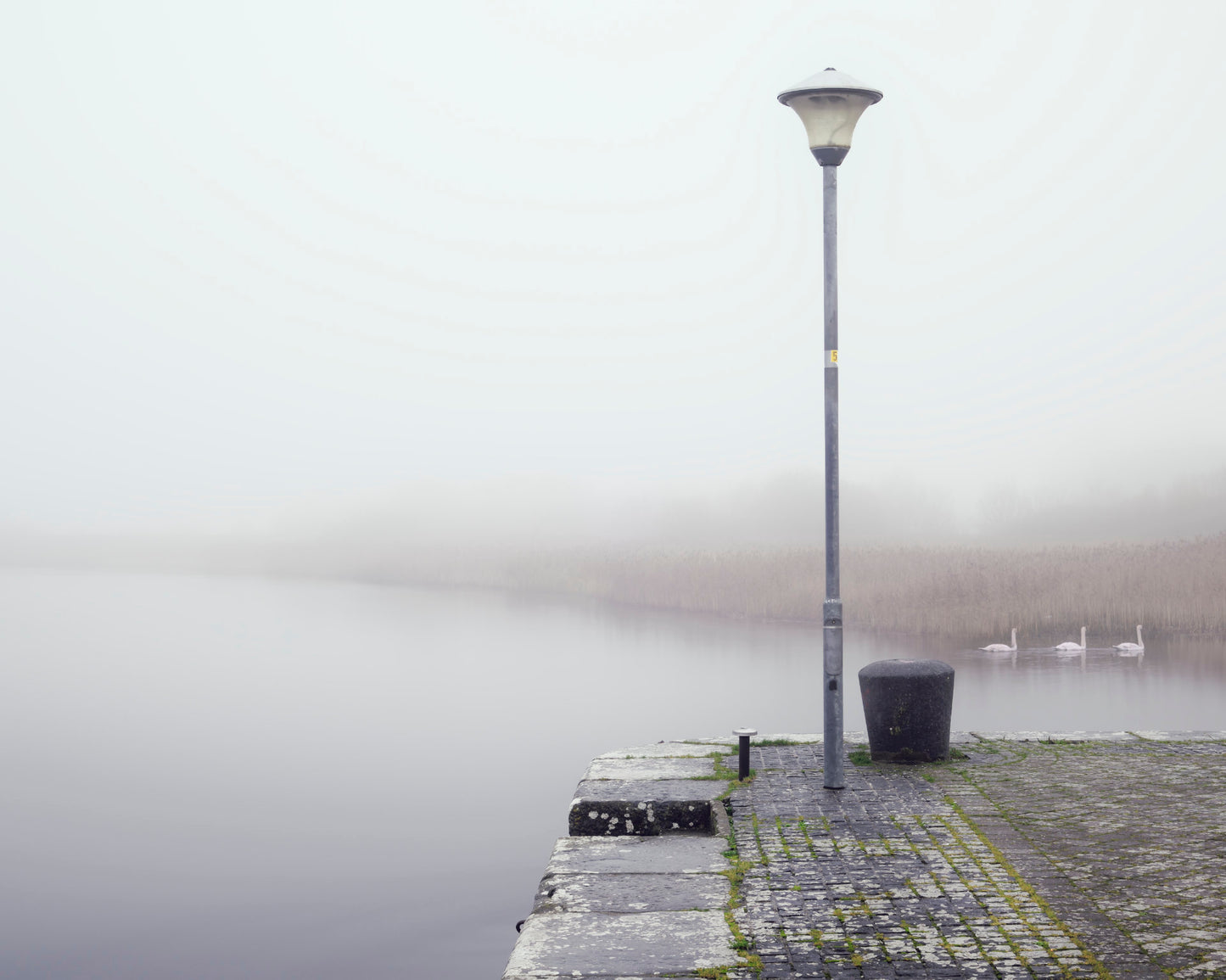 Aled Owen-Thomas "Waterside"