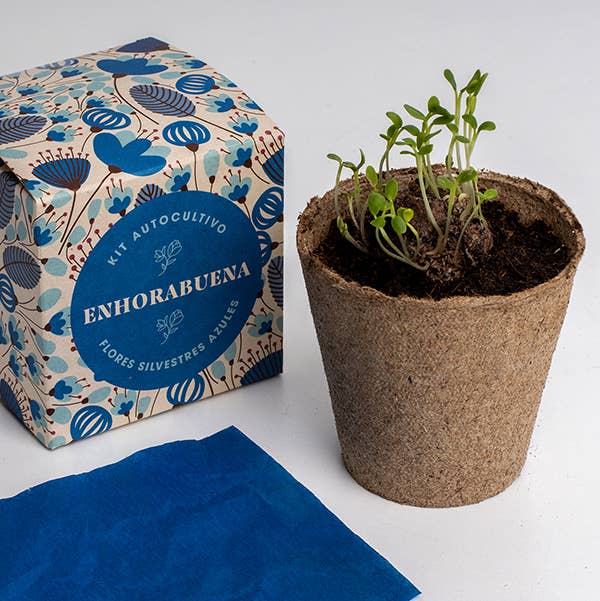 Say it with flowers "Congratulations" 💐