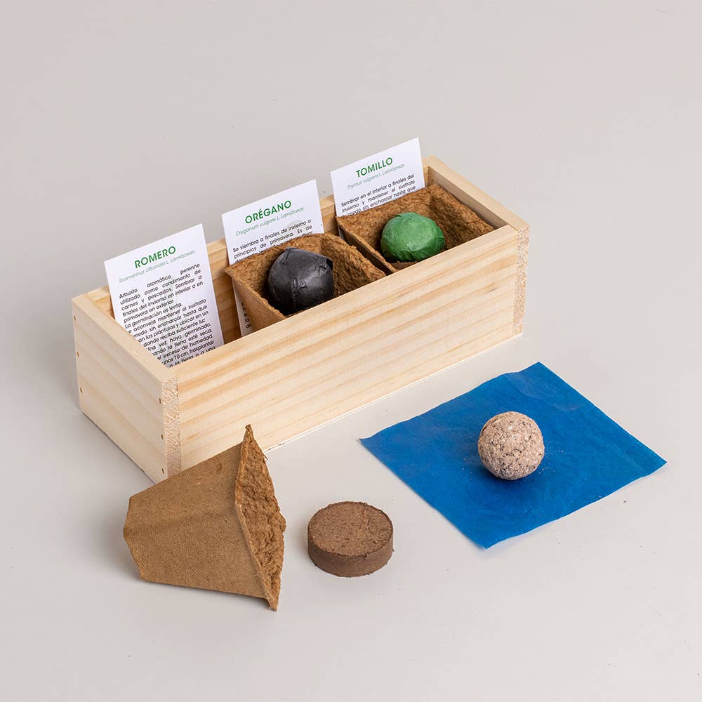 Mini Mediterranean Garden🌿