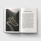 The Gut, A Pocket Primer