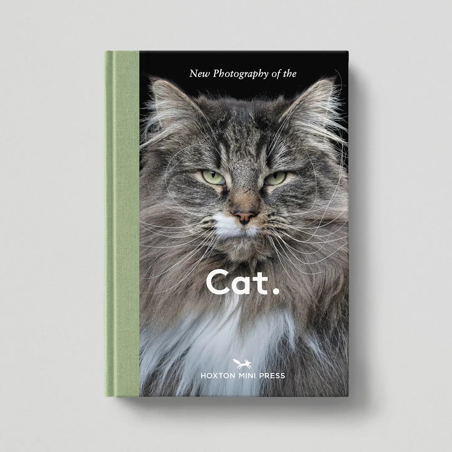 Cat. Contemporary Feline Photography Hardback Book