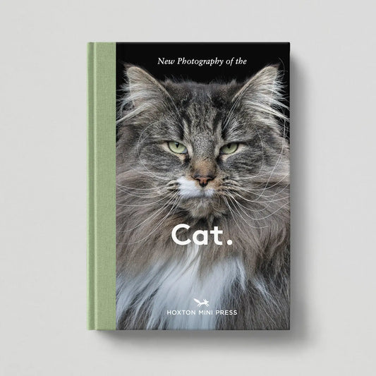 Cat. Contemporary Feline Photography Hardback Book