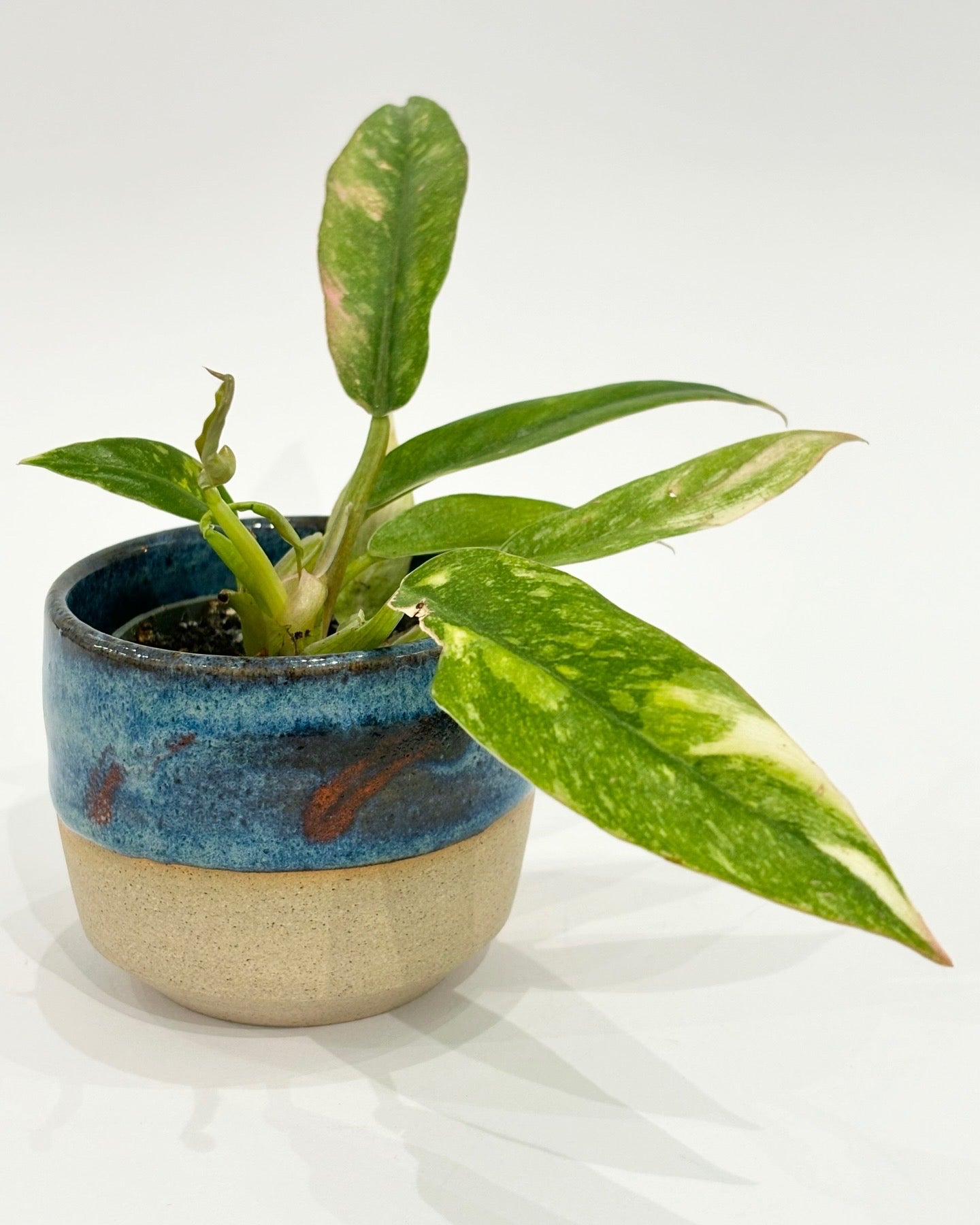 Barrow Arts - Small Blue Plant Pot (SPP)