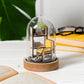 DIY library paper craft kit, adult craft kit