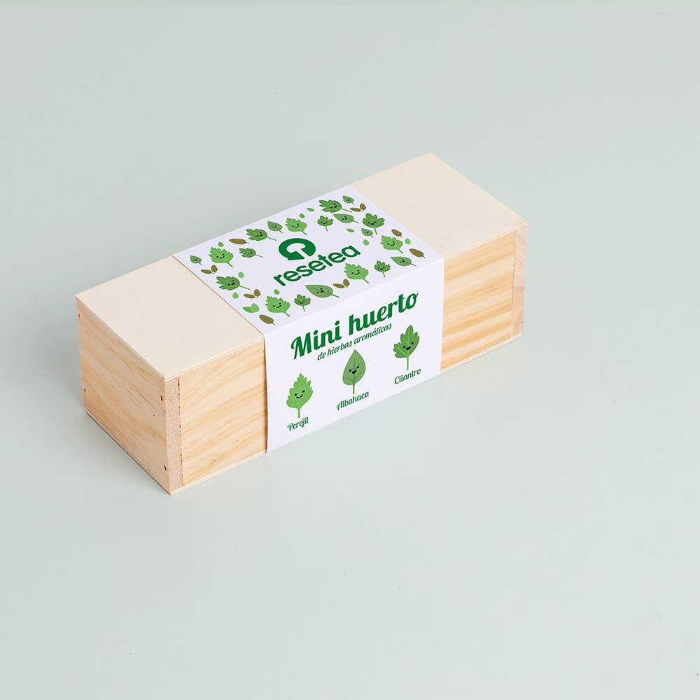 Mini Herb Garden🌿