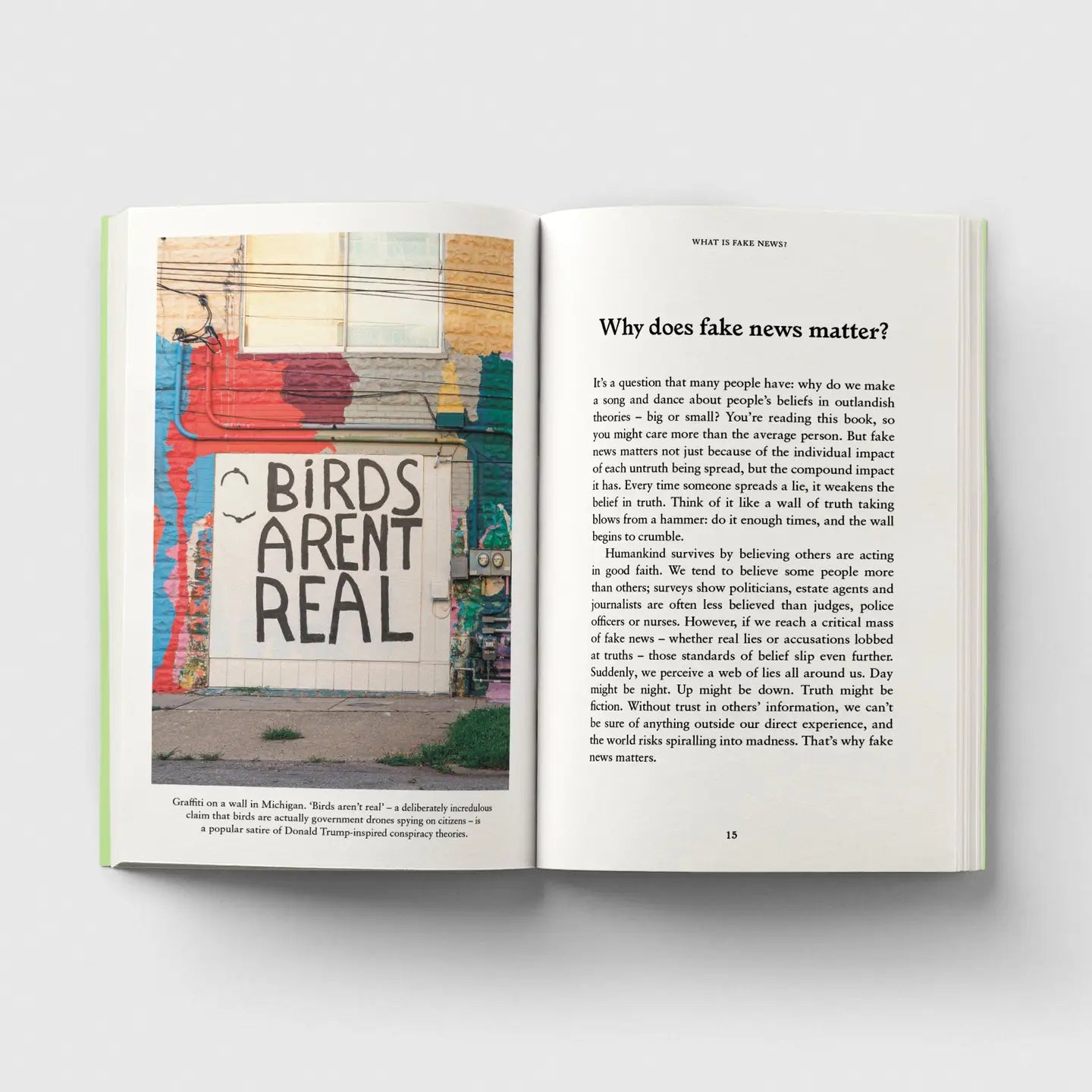 Fake News, A Pocket Primer