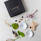 Deluxe Gift Box – Germination & Propagation in water