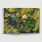 Flower Photography Hardback Book