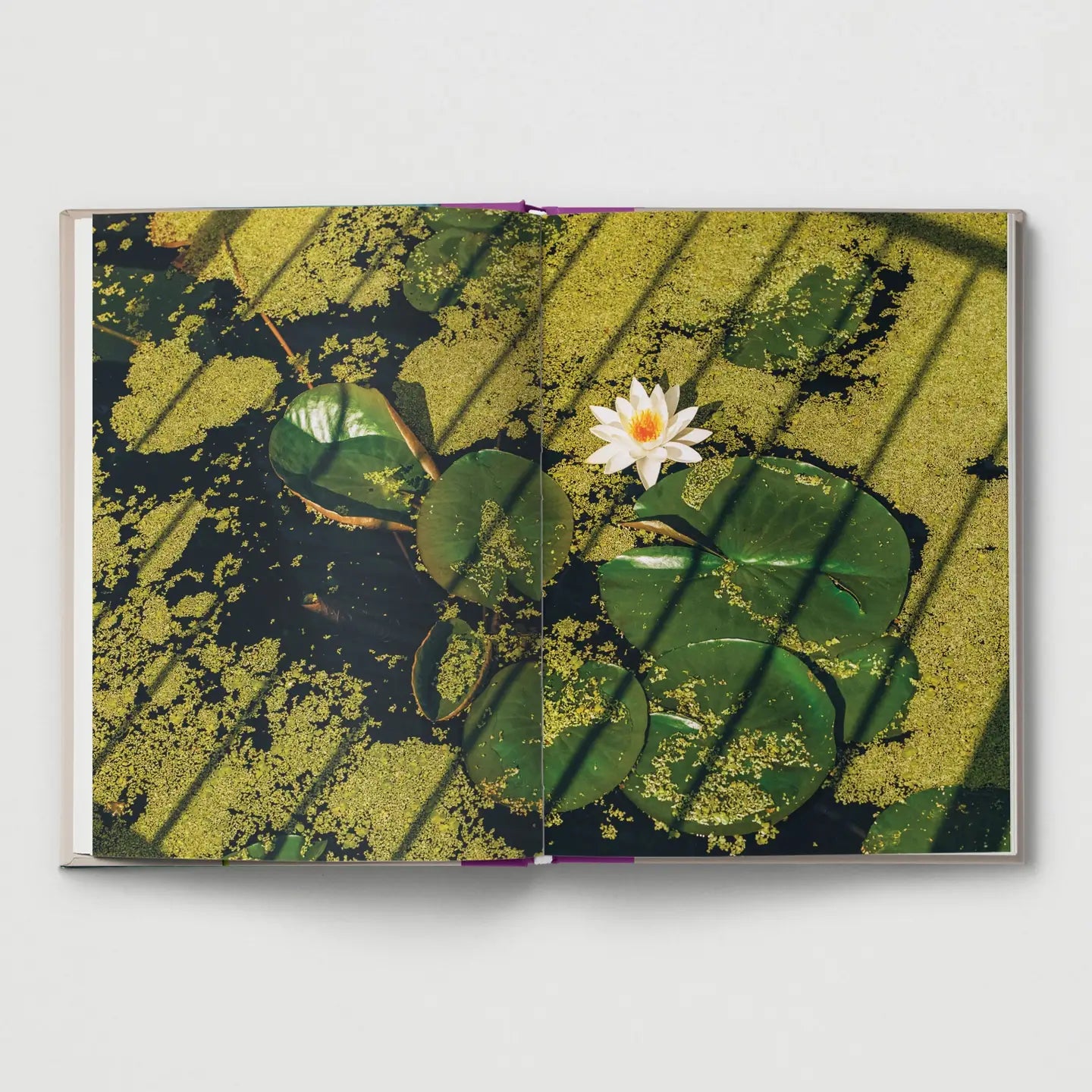 Flower Photography Hardback Book