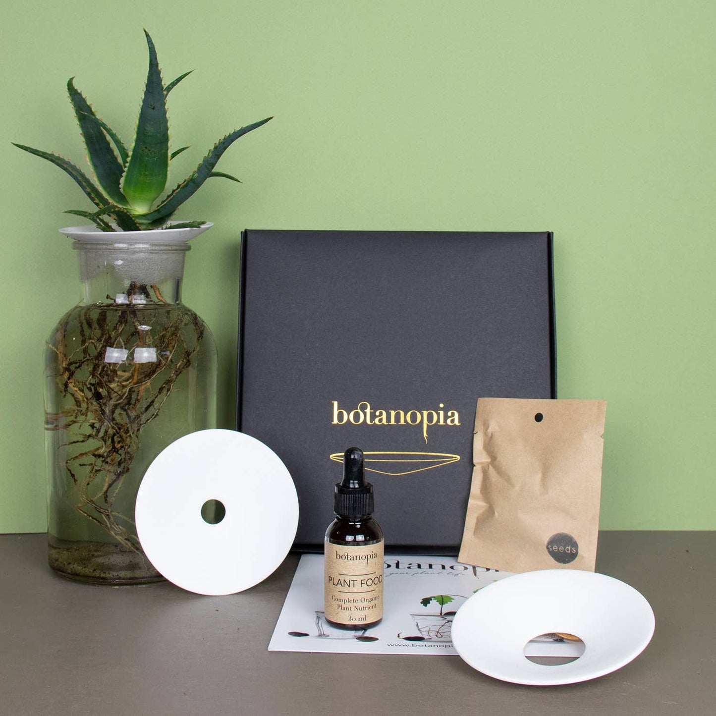 Deluxe Gift Box – Germination & Propagation in water