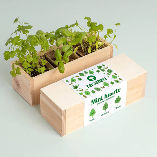 Mini Herb Garden🌿