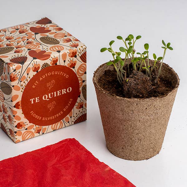 Say it with flowers "I Love You"💐