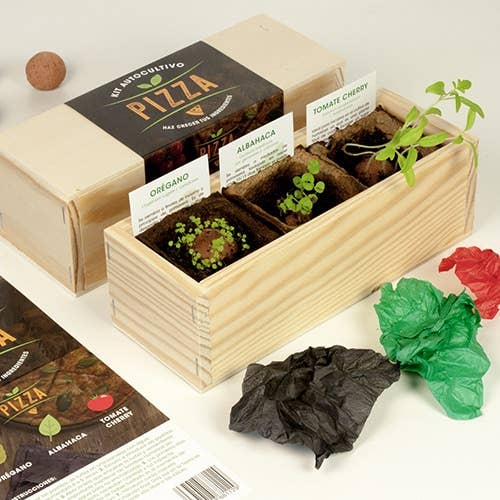 Pizza Growing Kit🍕: Oregano🌿, Basil, and Tomato🍅