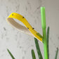 SOS Plant Kit - Saving Sick Plants, One Leaf at a Time