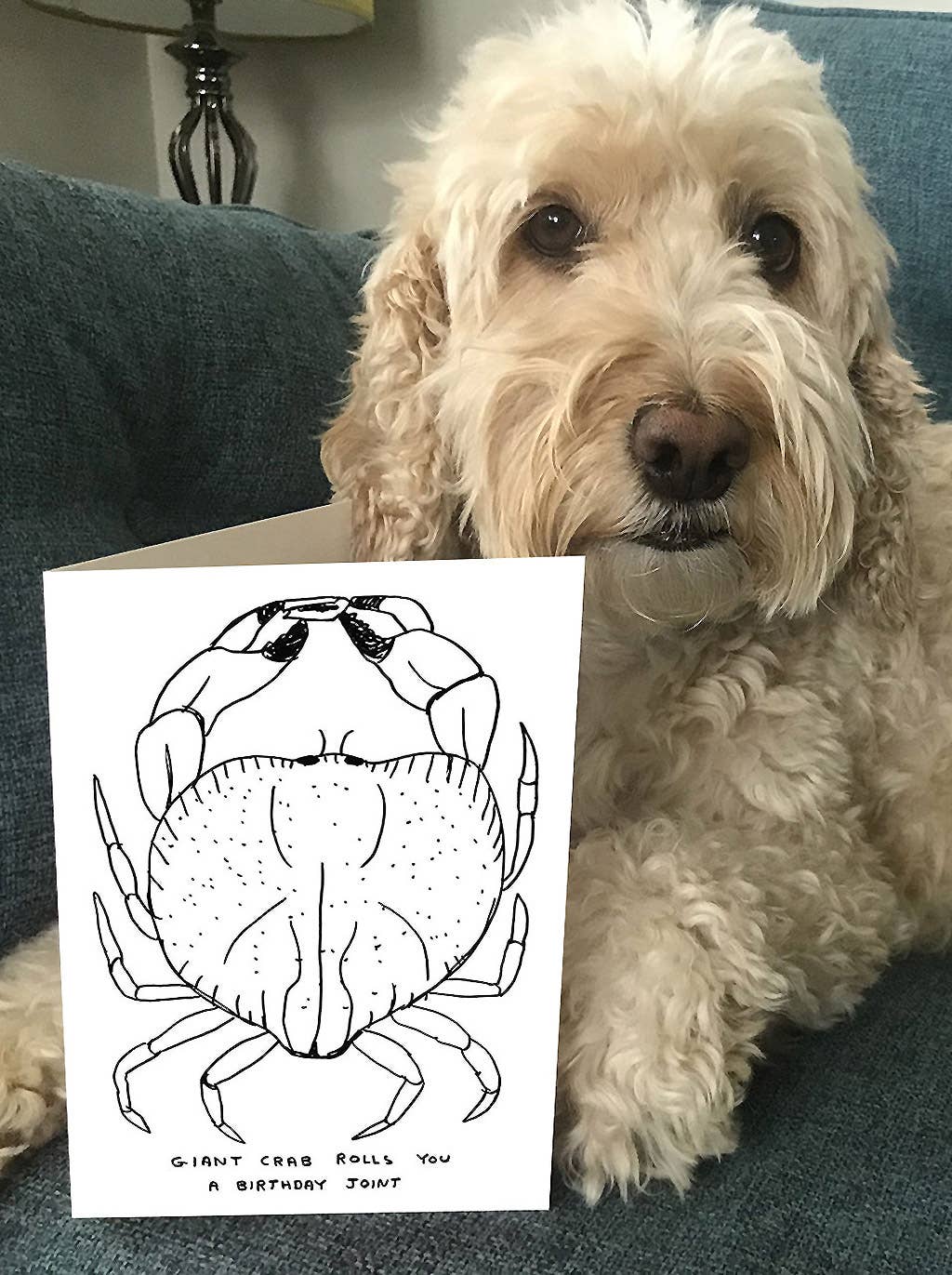 Funny Birthday Card - Giant Crab Greetings Card