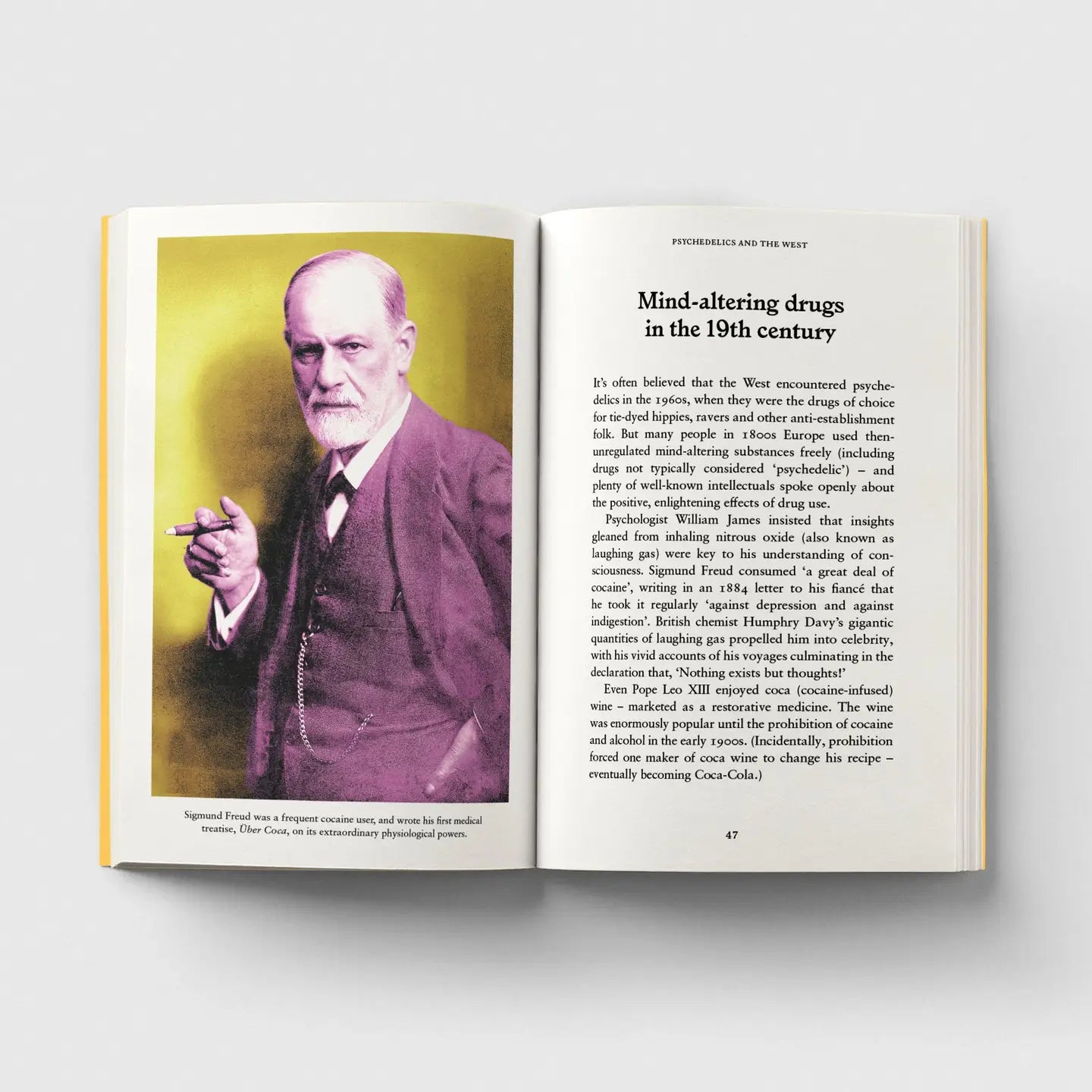 Psychedelics, A Pocket Primer