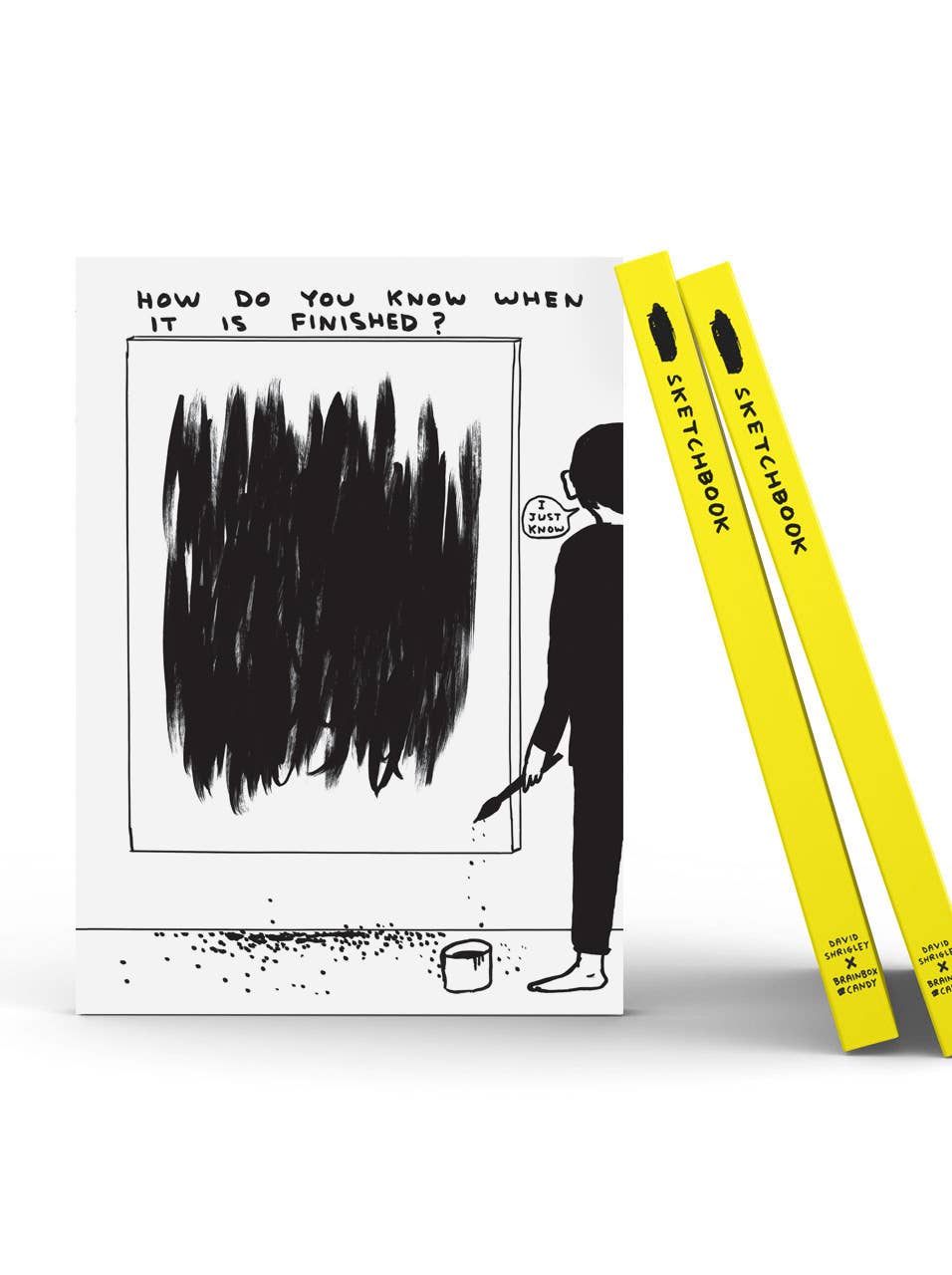 Funny Gift - How Do You Know Sketchbook by David Shrigley