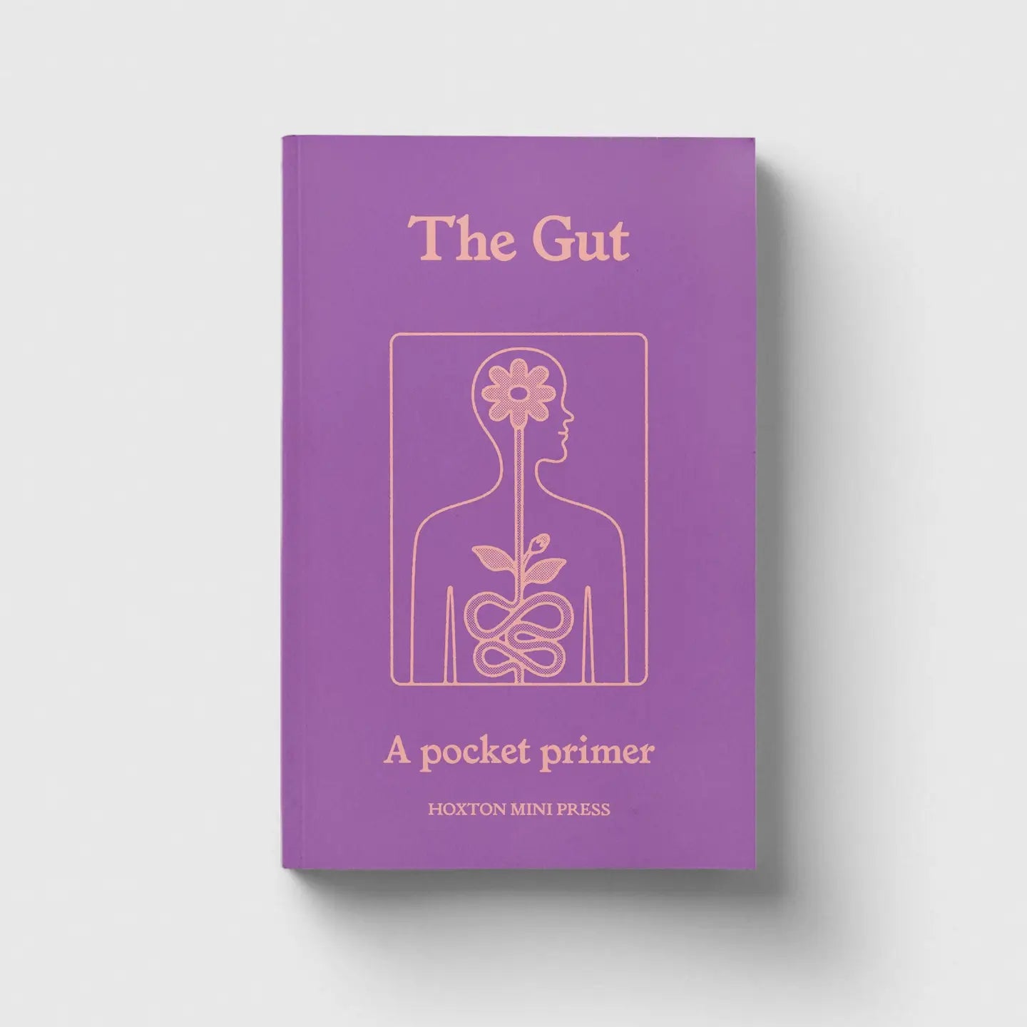 The Gut, A Pocket Primer
