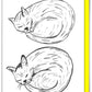 Funny Greetings Card By David Shrigley - Ruining Your Life