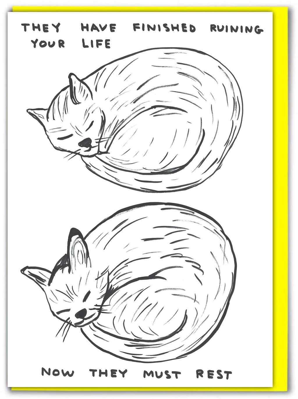 Funny Greetings Card By David Shrigley - Ruining Your Life