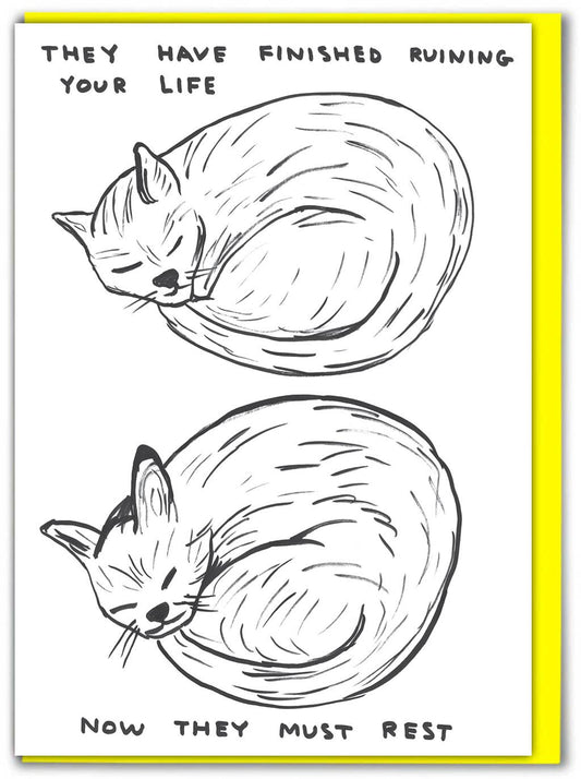 Funny Greetings Card By David Shrigley - Ruining Your Life
