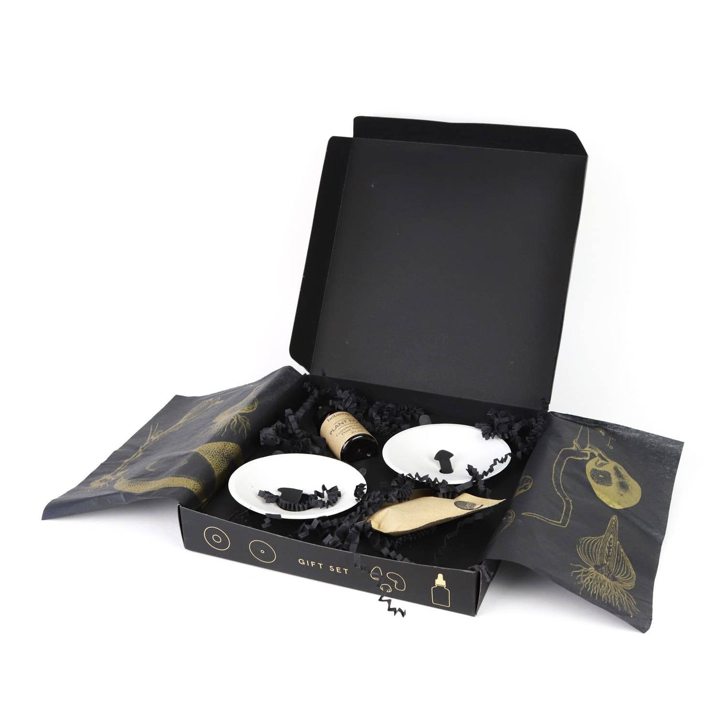 Deluxe Gift Box – Germination & Propagation in water