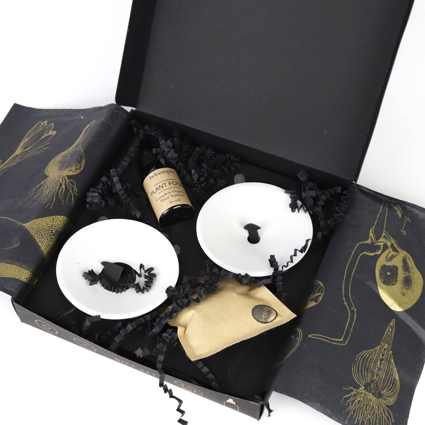 Deluxe Gift Box – Germination & Propagation in water