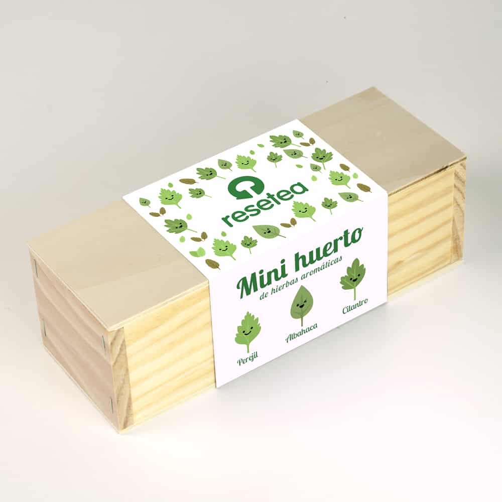 Mini Herb Garden🌿