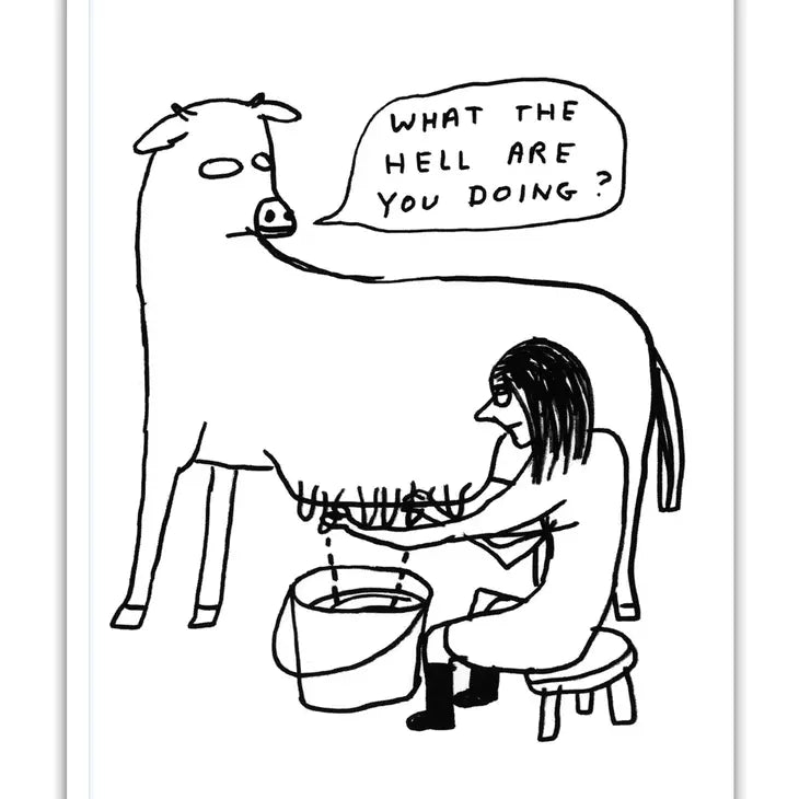 David Shrigley: "What The Hell" A6 Small Notebook