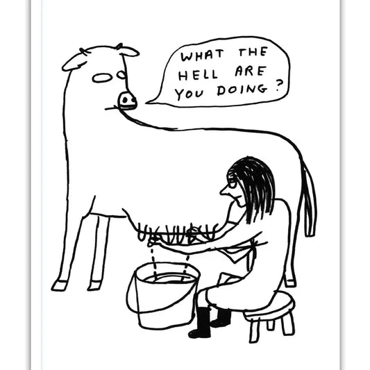David Shrigley: "What The Hell" A6 Small Notebook