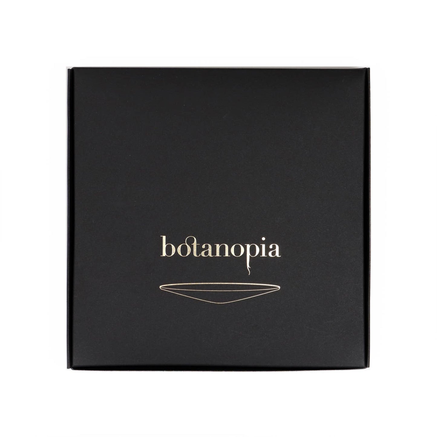 Deluxe Gift Box – Germination & Propagation in water