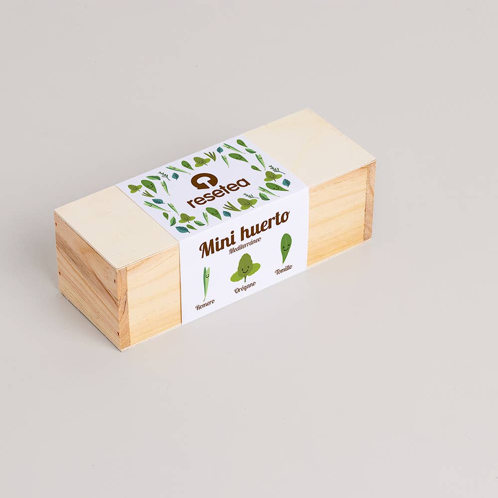 Mini Mediterranean Garden🌿