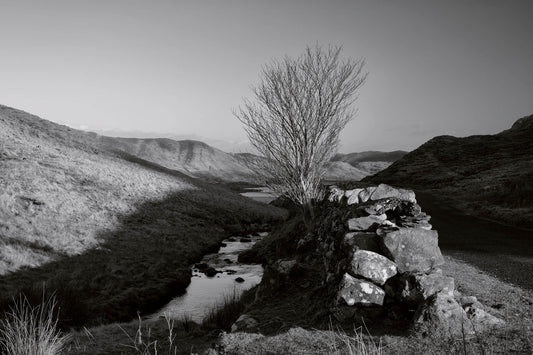 Aled Owen-Thomas - "An bóthar go Loch Na Fuaiche"
