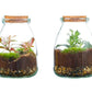 Arrangement Terrarium - Small