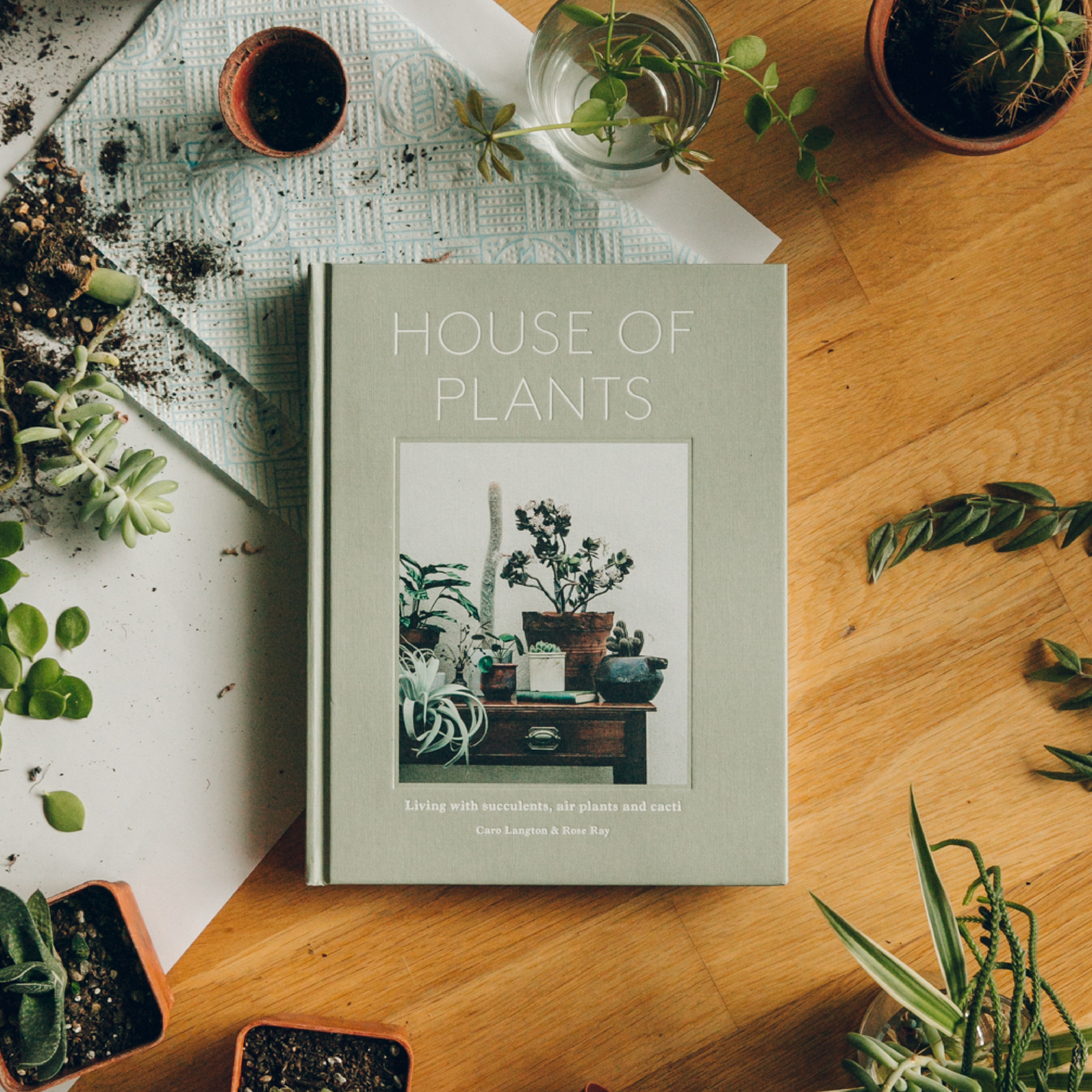 House of Plants: Living with Succulents, Air Plants and Cacti Hardcover – Book