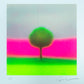 Alastair Keady "AI Tree #2" - Unframed
