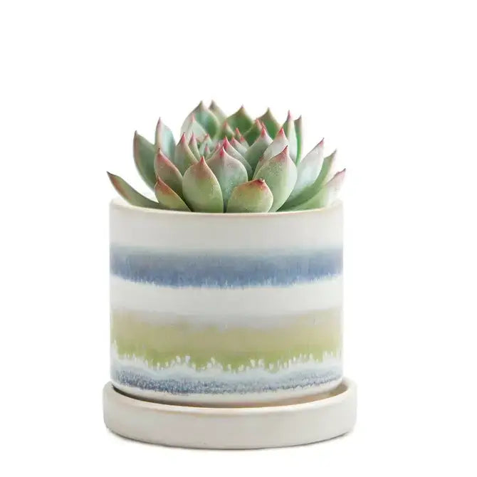 Minute - Glazed Modern Ceramic Pot with Saucer