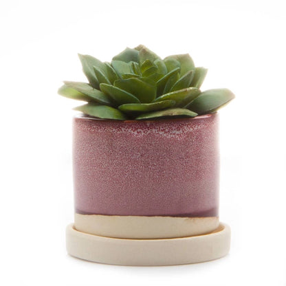 Minute - Glazed Modern Ceramic Pot with Saucer