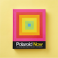 Polaroid Now: The History and Future of Polaroid Photography - Book