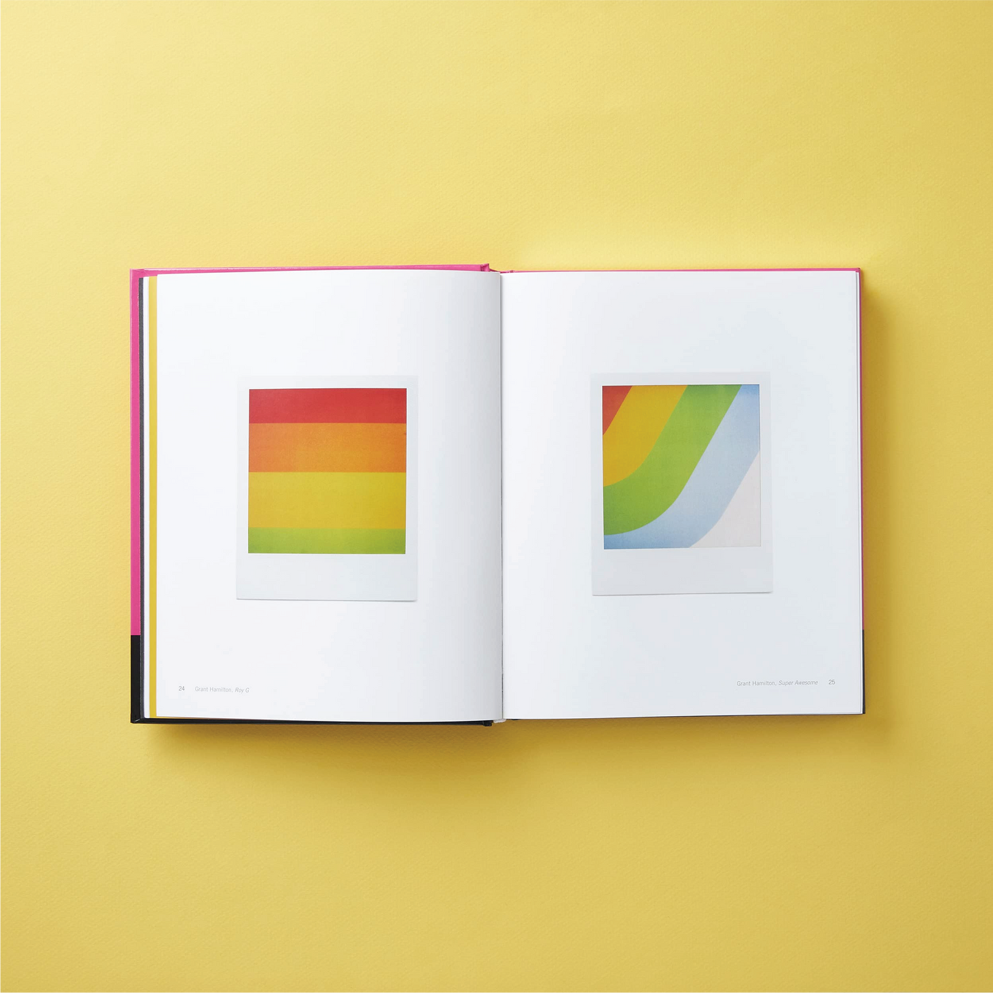 Polaroid Now: The History and Future of Polaroid Photography - Book