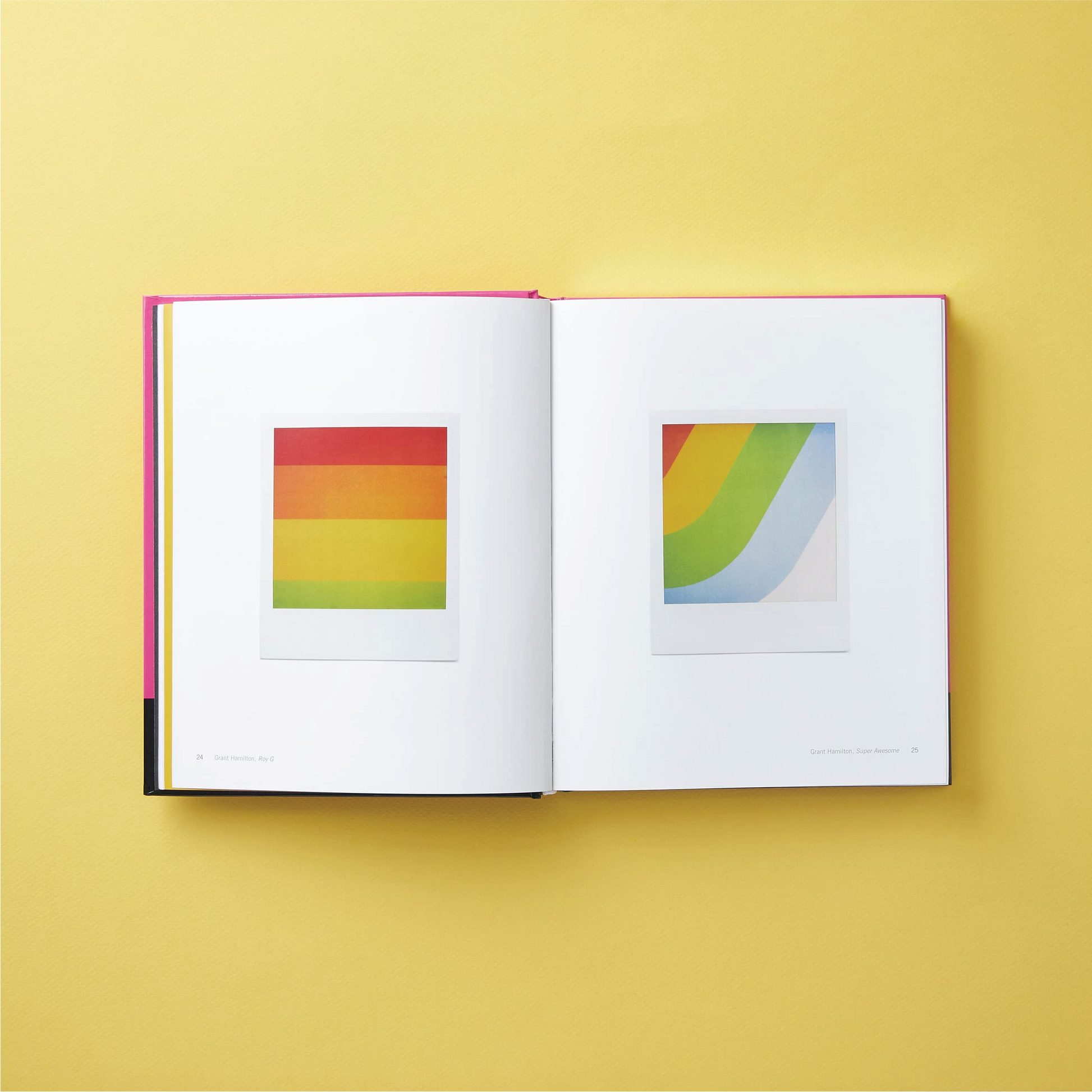 Polaroid Now: The History and Future of Polaroid Photography - Book