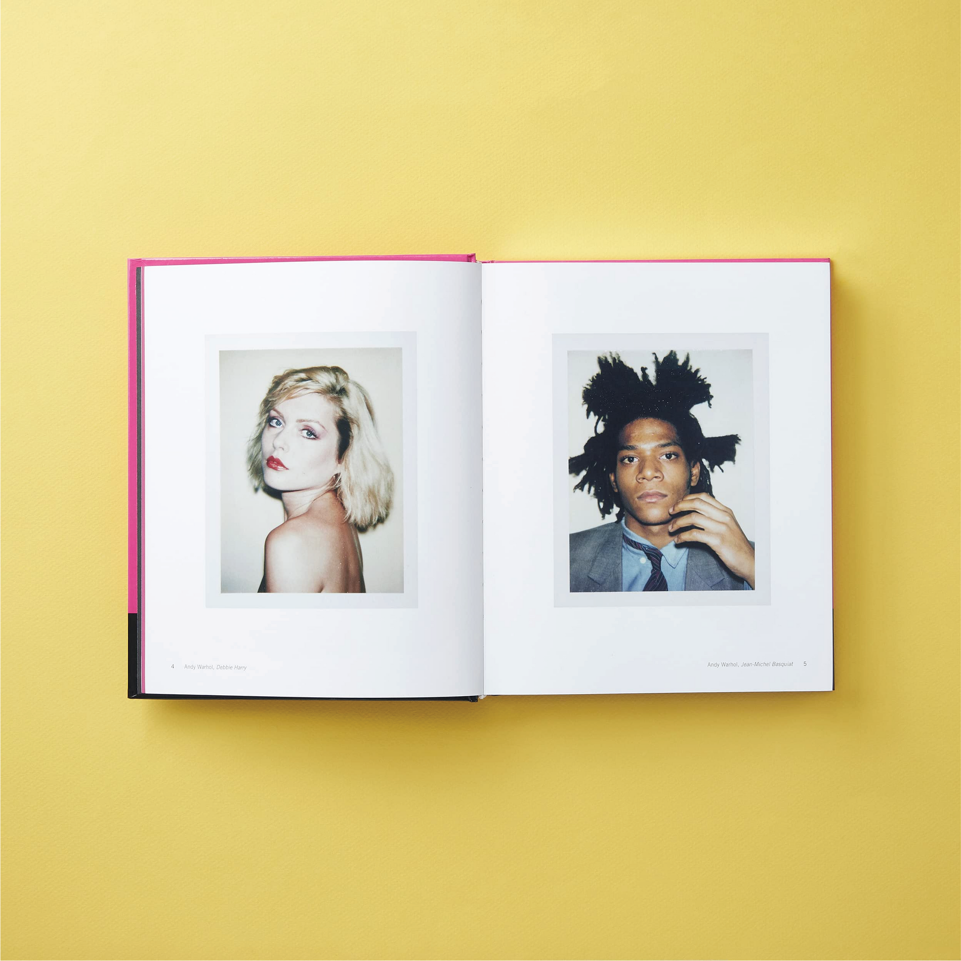 Polaroid Now: The History and Future of Polaroid Photography - Book