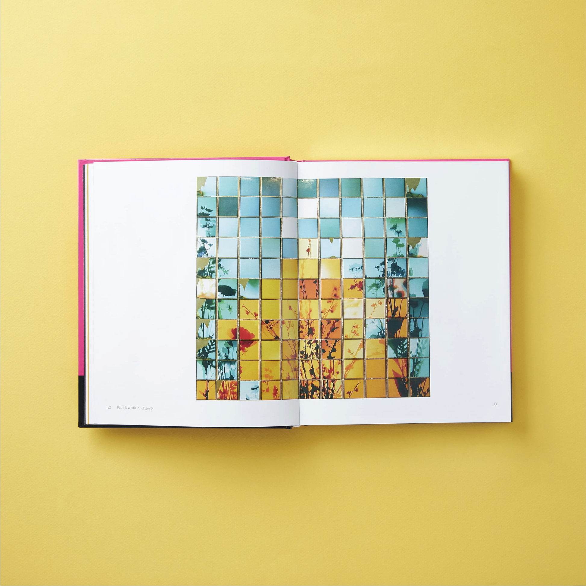 Polaroid Now: The History and Future of Polaroid Photography - Book